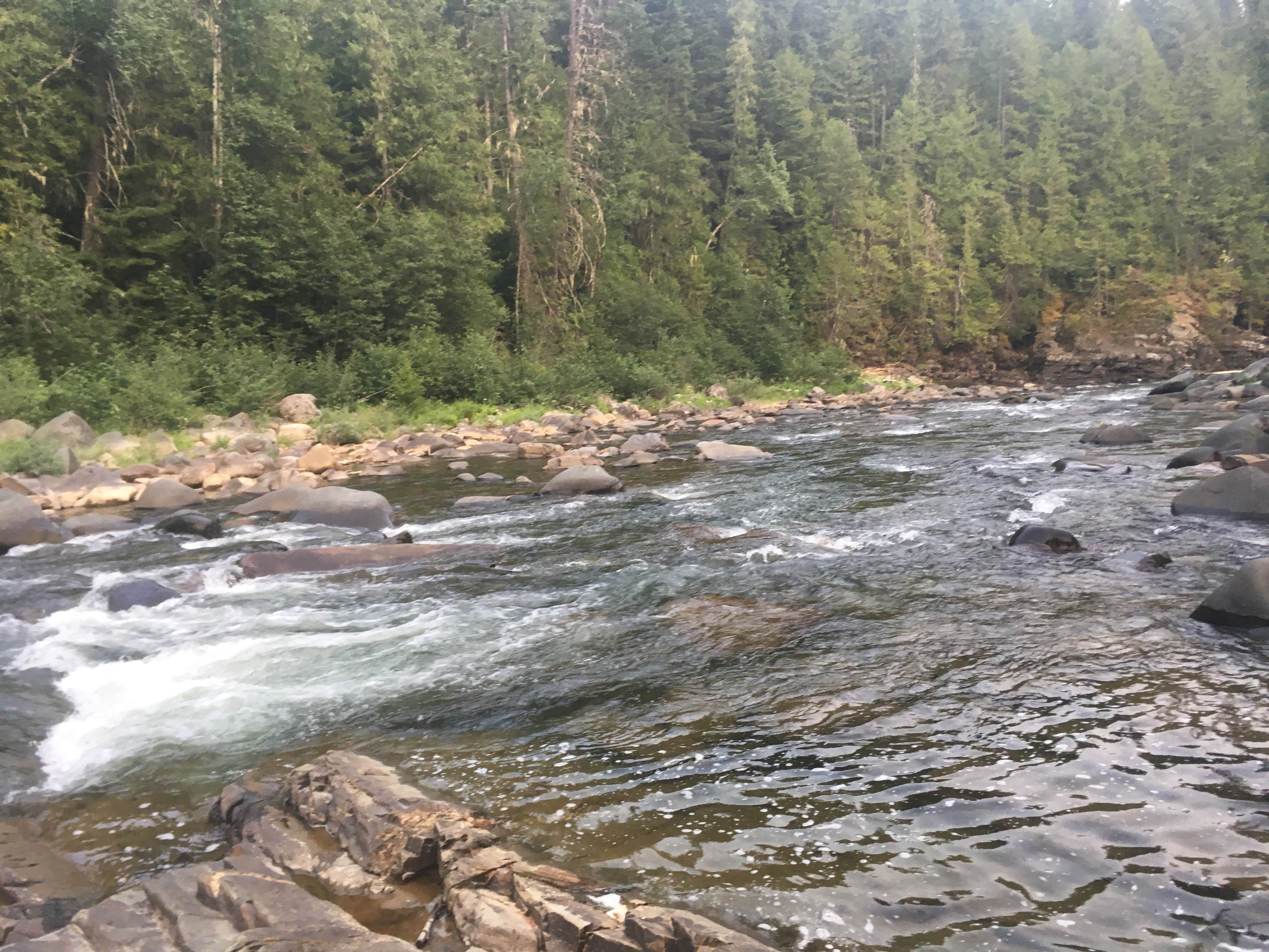 Camper-submitted photo at Yaak Falls Campground near Eureka, MT