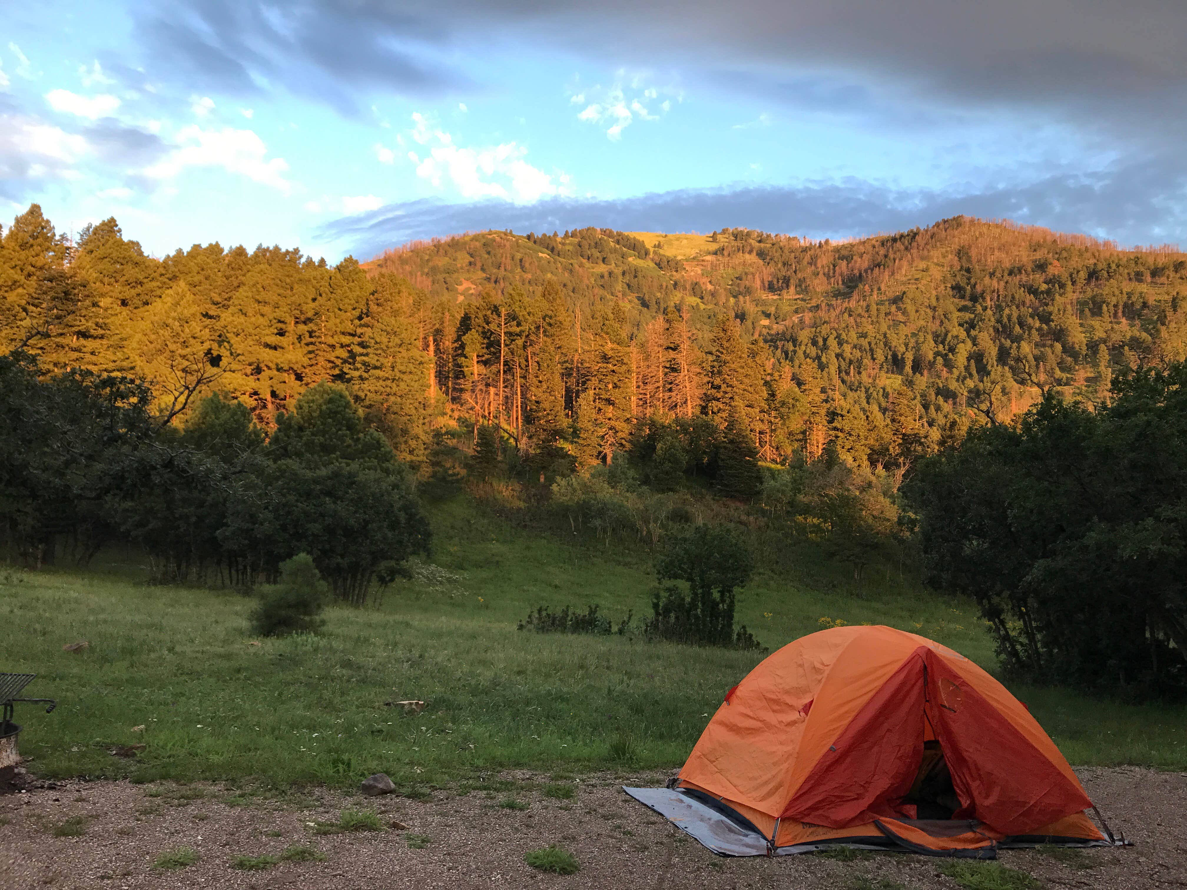 Camper submitted image from Oak Grove Campground - 5