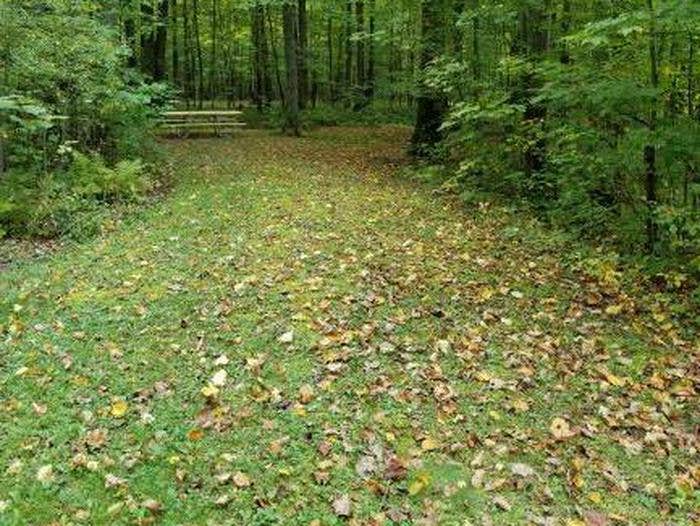 Chippewa NF Campground Medford WI