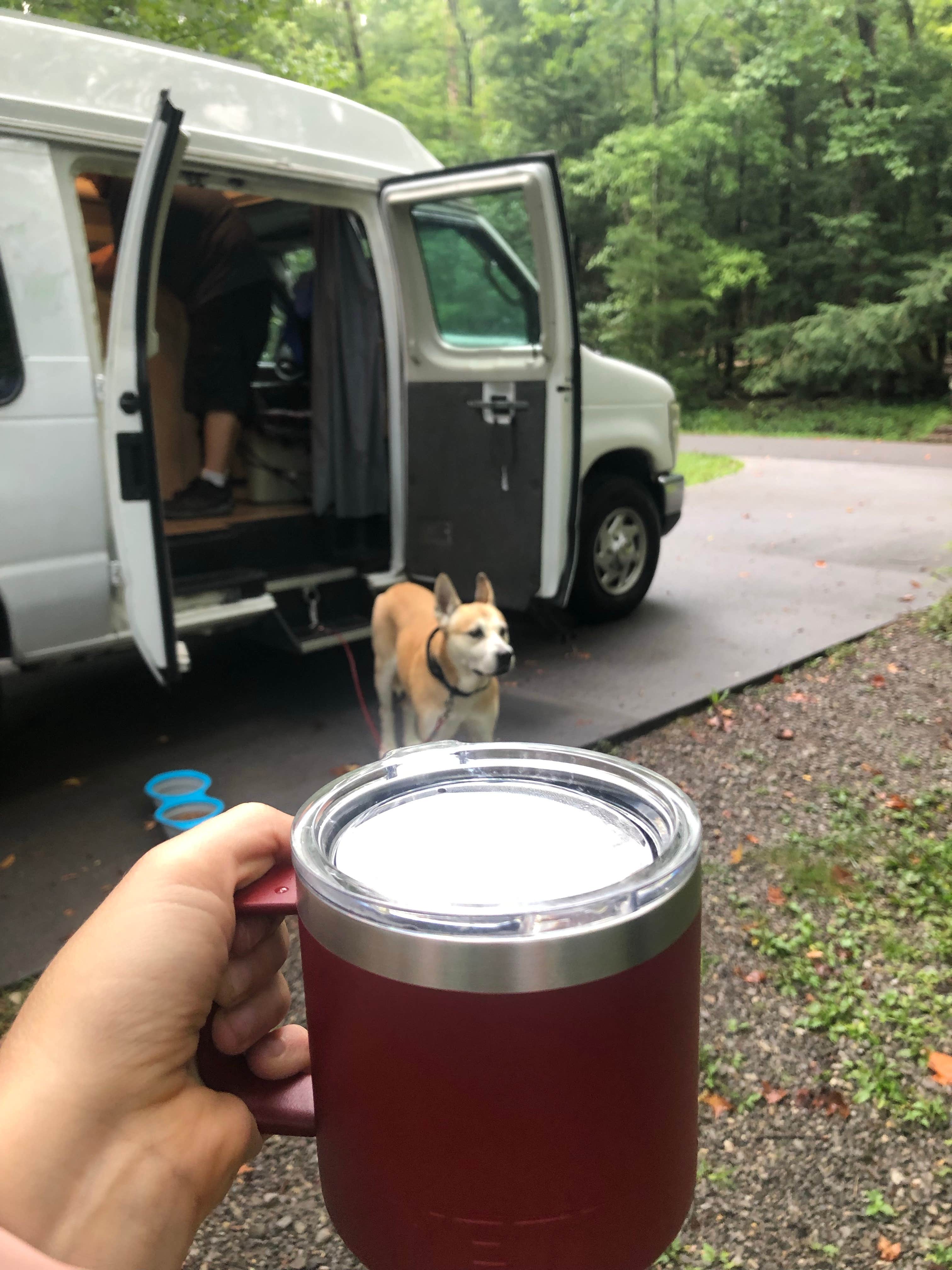 Rebecca A.'s photo of camping with pets at Cades Cove Campground near Greenback, TN