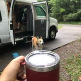 Review photo of Cades Cove Campground by Rebecca A., September 20, 2019