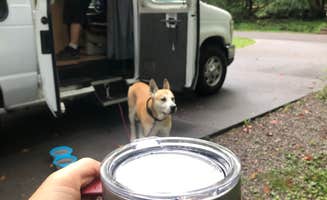 Rebecca A.'s photo of camping with pets at Cades Cove Campground near Fontana Dam, NC