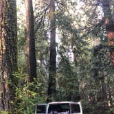 Review photo of Jedidiah Smith Campground — Redwood National Park by Rebecca A., September 20, 2019