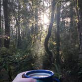 Review photo of Jedidiah Smith Campground — Redwood National Park by Rebecca A., September 20, 2019