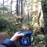 Review photo of Jedidiah Smith Campground — Redwood National Park by Rebecca A., September 20, 2019