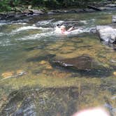 Review photo of Fall Creek Falls State Park Campground by Brandie D., August 10, 2017