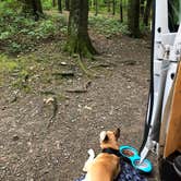 Review photo of Watkins Glen State Park Campground by Rebecca A., September 20, 2019