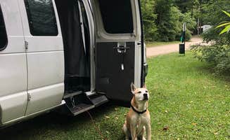 Rebecca A.'s photo of camping with pets at Sugar Creek Glen Campground near Shinglehouse, PA