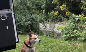 Rebecca A.'s photo of camping with pets at Sugar Creek Glen Campground near Portageville, NY