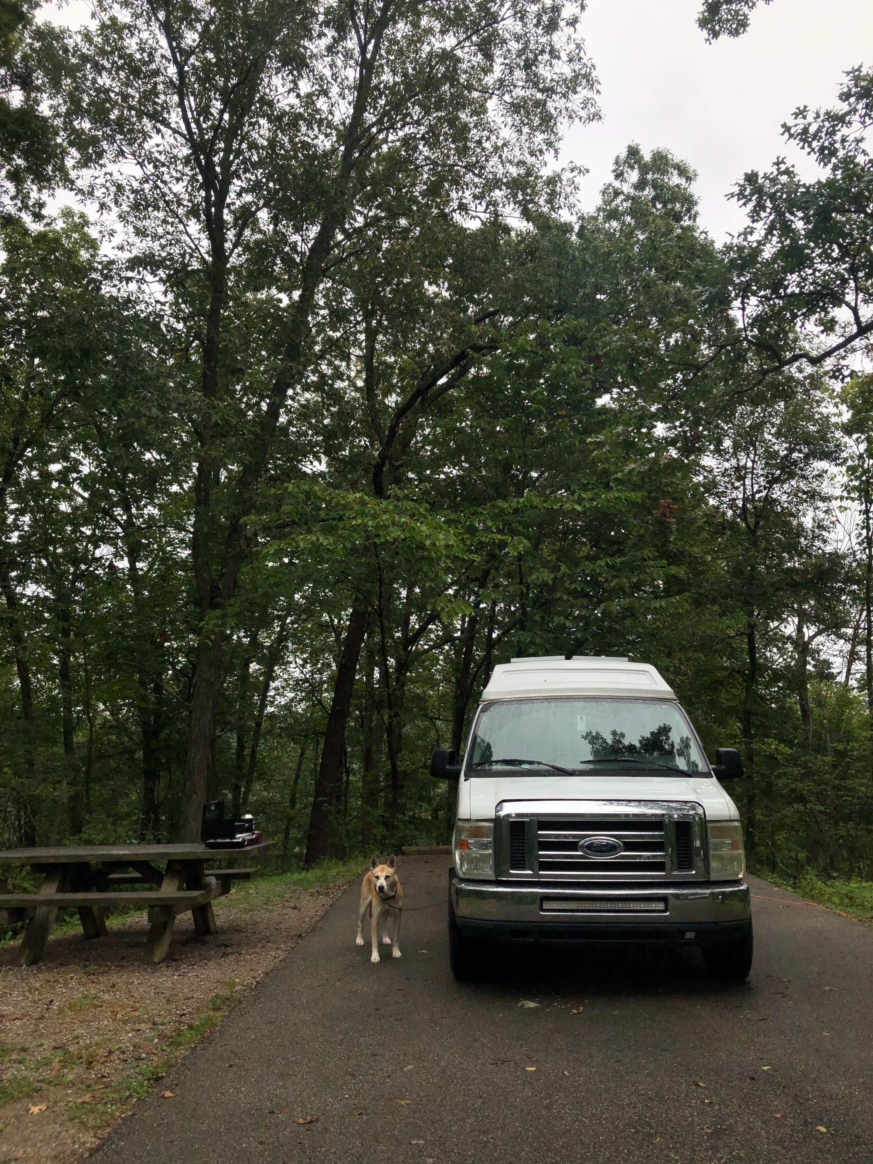 Camper submitted image from Oak Hill - Lake Vesuvius - 5