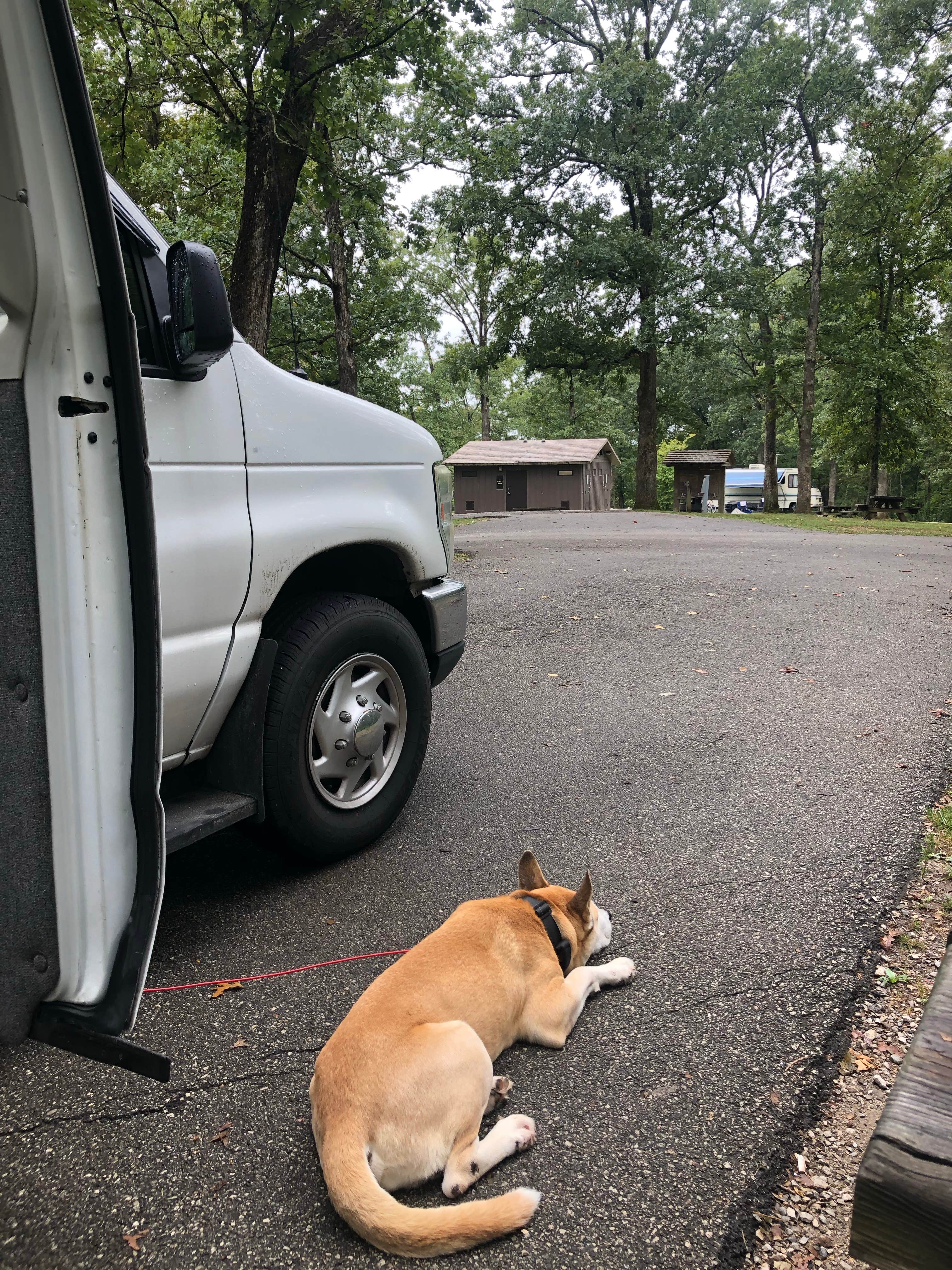 Rebecca A.'s photo of camping with pets at Oak Hill - Lake Vesuvius near Louisa, KY