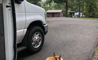 Rebecca A.'s photo of camping with pets at Oak Hill - Lake Vesuvius near Huntington, WV