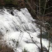 Review photo of Fall Creek Falls State Park Campground by Brandie D., August 10, 2017