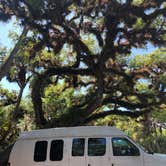 Review photo of Palmetto Ridge Campground — Myakka River State Park by Rebecca A., September 20, 2019