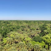 Review photo of Palmetto Ridge Campground — Myakka River State Park by Rebecca A., September 20, 2019
