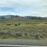 Review photo of Grant Village Campground — Yellowstone National Park by John S., September 20, 2019