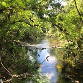 Review photo of Hillsborough River State Park Campground by Rebecca A., September 20, 2019