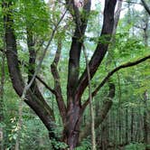 Review photo of Bertha Brock County Park by Justyna E., September 20, 2019