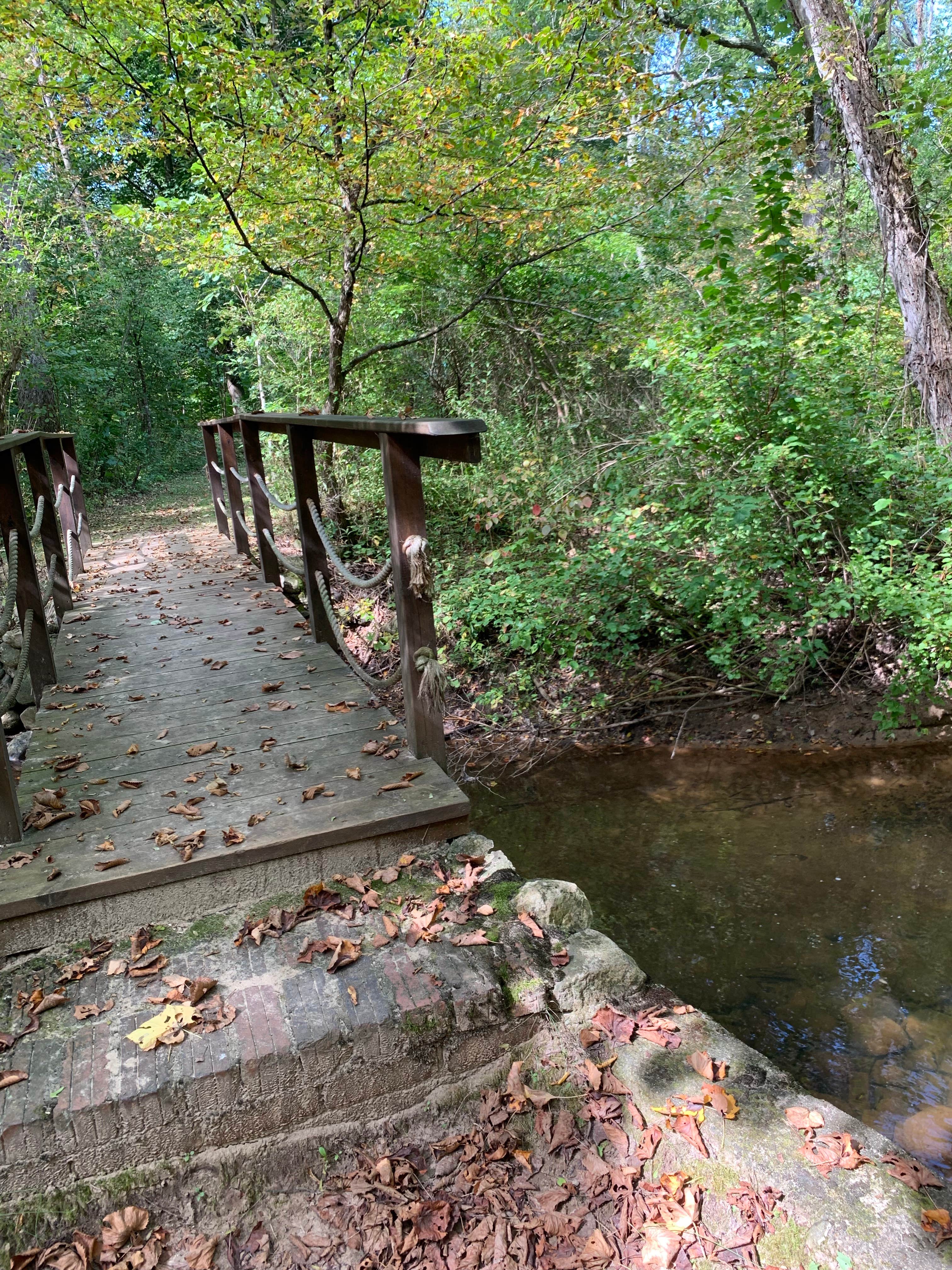 Camper-submitted photo at Bertha Brock County Park near Potterville, MI