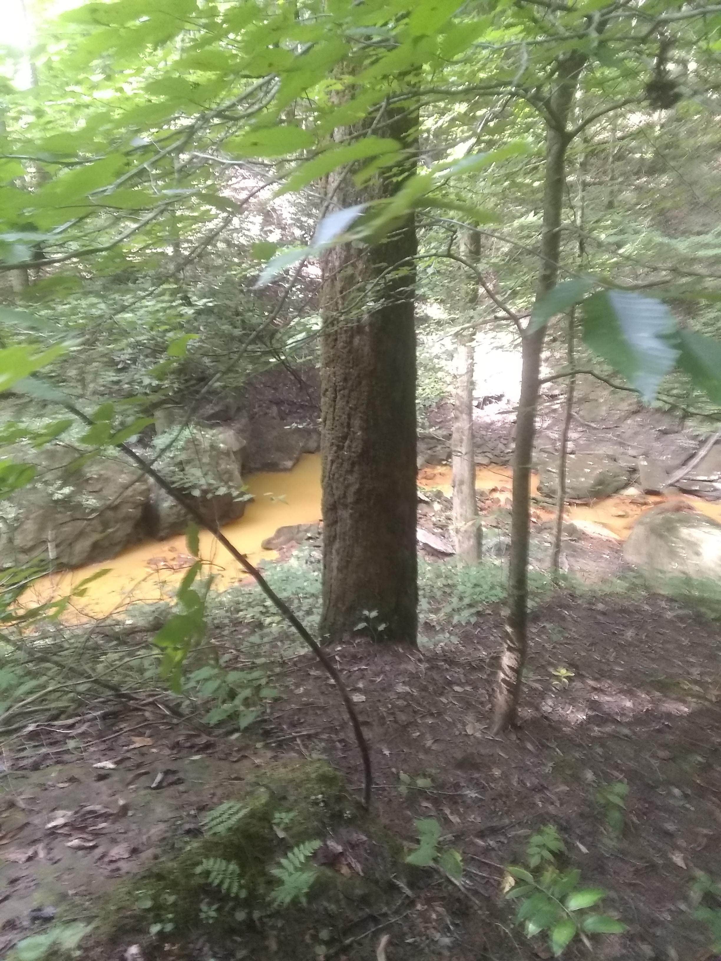 Camper submitted image from Grove Boat-In Campground - 2