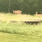 Review photo of Big Bone Lick State Park Campground by Cathy S., September 20, 2019