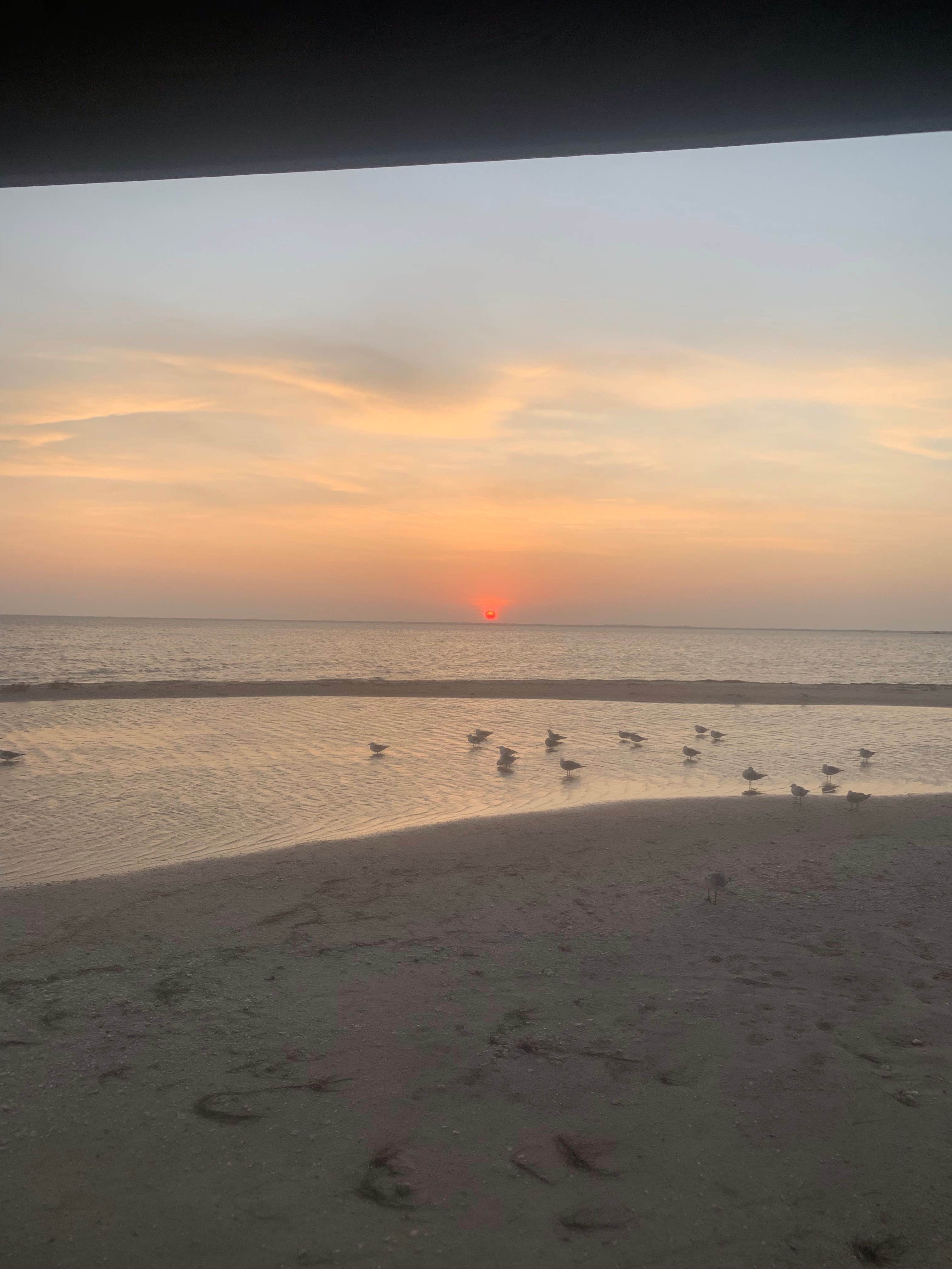 Camper submitted image from Bird Island Basin Campground — Padre Island National Seashore - 4