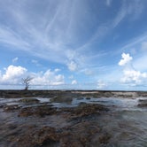 Review photo of Buttonwood Campground — Bahia Honda State Park by Michael A., September 21, 2019