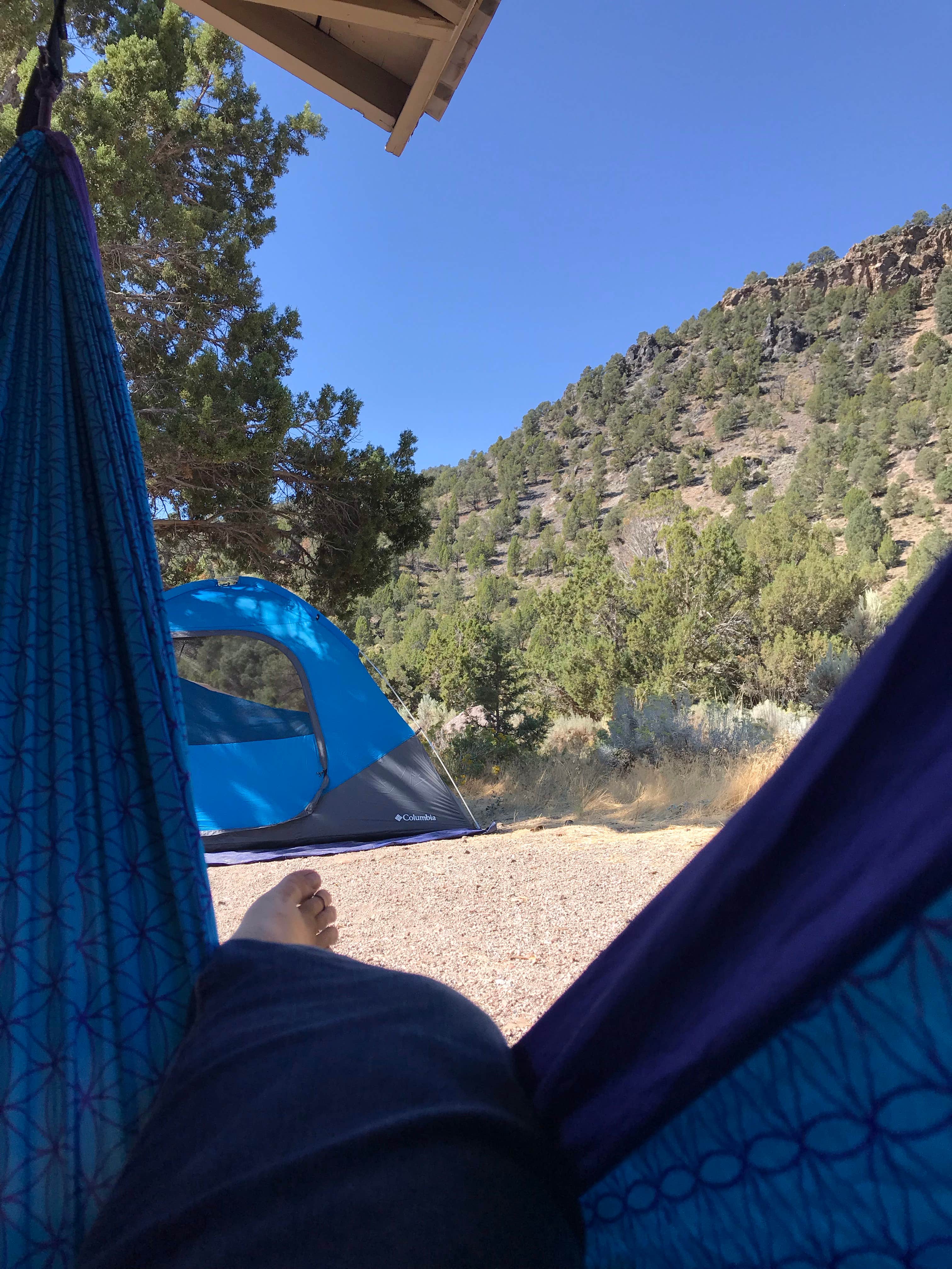 Alisa B.'s photo at Horsethief Gulch Campground — Spring Valley State Park near Pioche, NV
