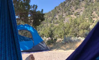 Alisa B.'s photo at Horsethief Gulch Campground — Spring Valley State Park near Panaca, NV