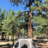 Review photo of Ten-X Campground — Grand Canyon National Park by Shavit L., September 21, 2019