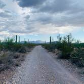 Review photo of Twin Peaks Campground — Organ Pipe Cactus National Monument by Shavit L., September 21, 2019