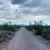 Review photo of Twin Peaks Campground - Organ Pipe Cactus Nat Monument by Shavit L., September 21, 2019