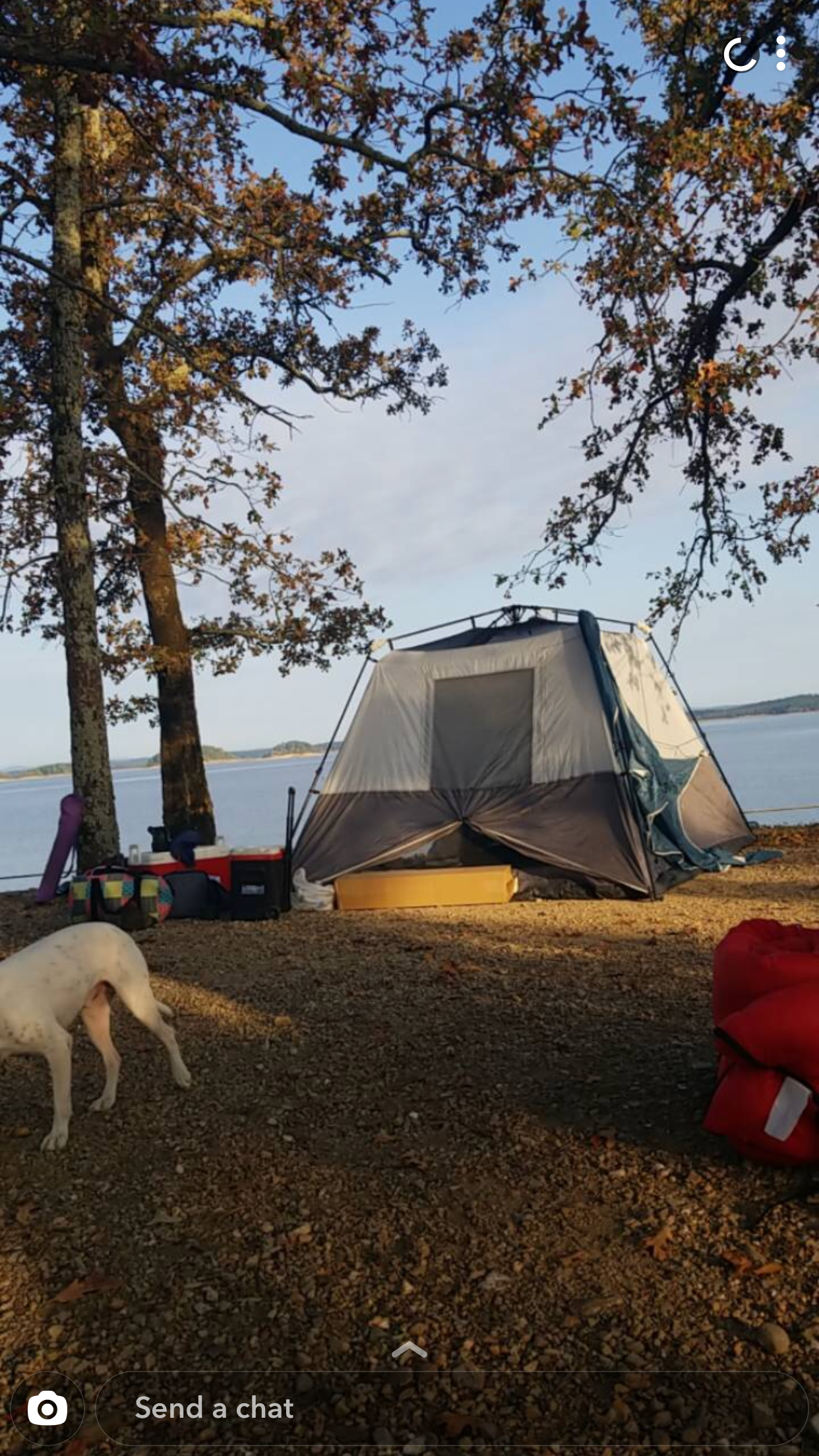 Milli N.'s photo of camping with pets at Brady Mountain near Hot Springs, AR