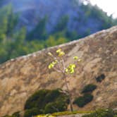 Review photo of Longs Peak Campground — Rocky Mountain National Park by Tessa M., June 29, 2016
