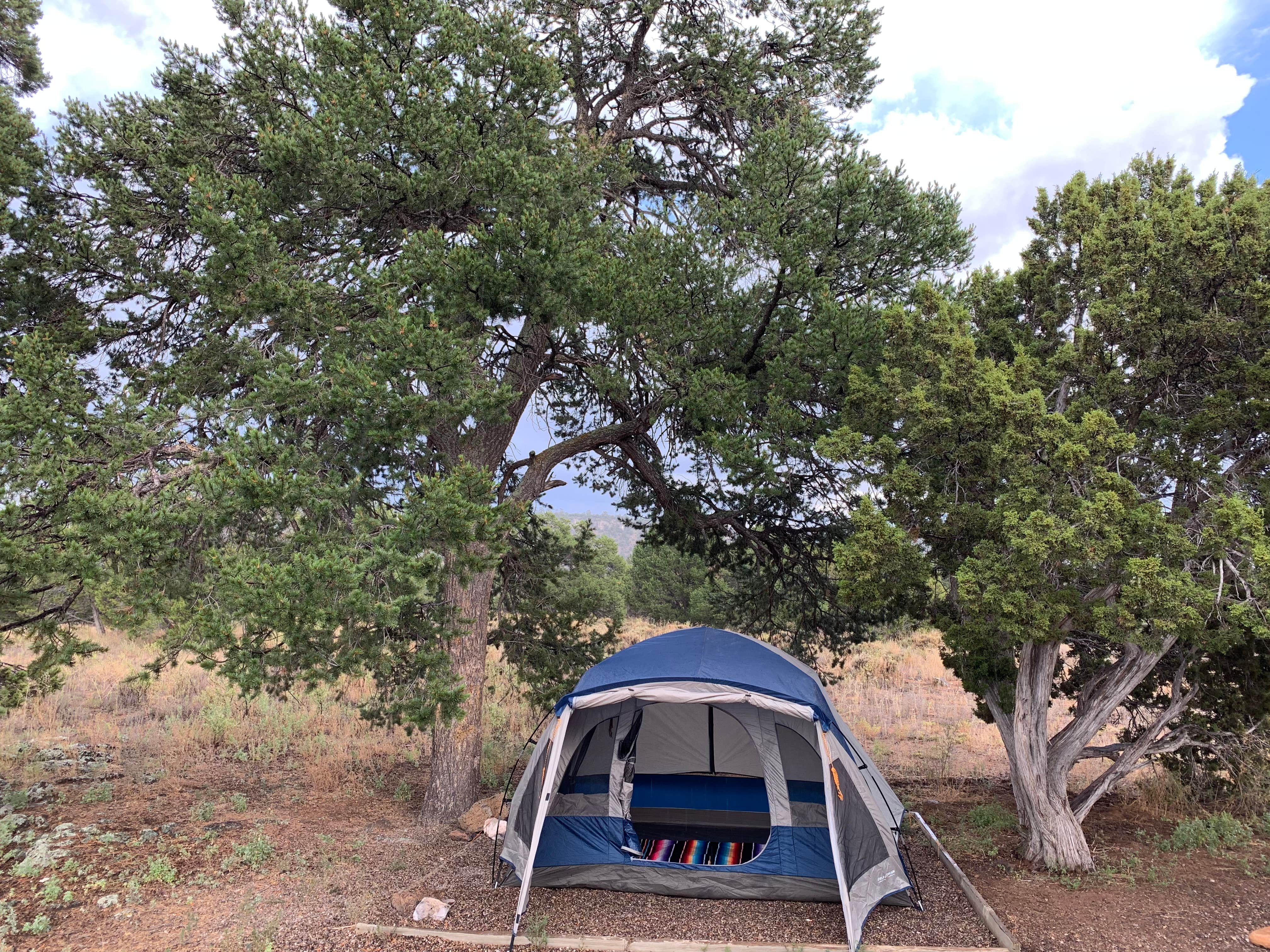 Camper submitted image from El Morro National Monument - 4