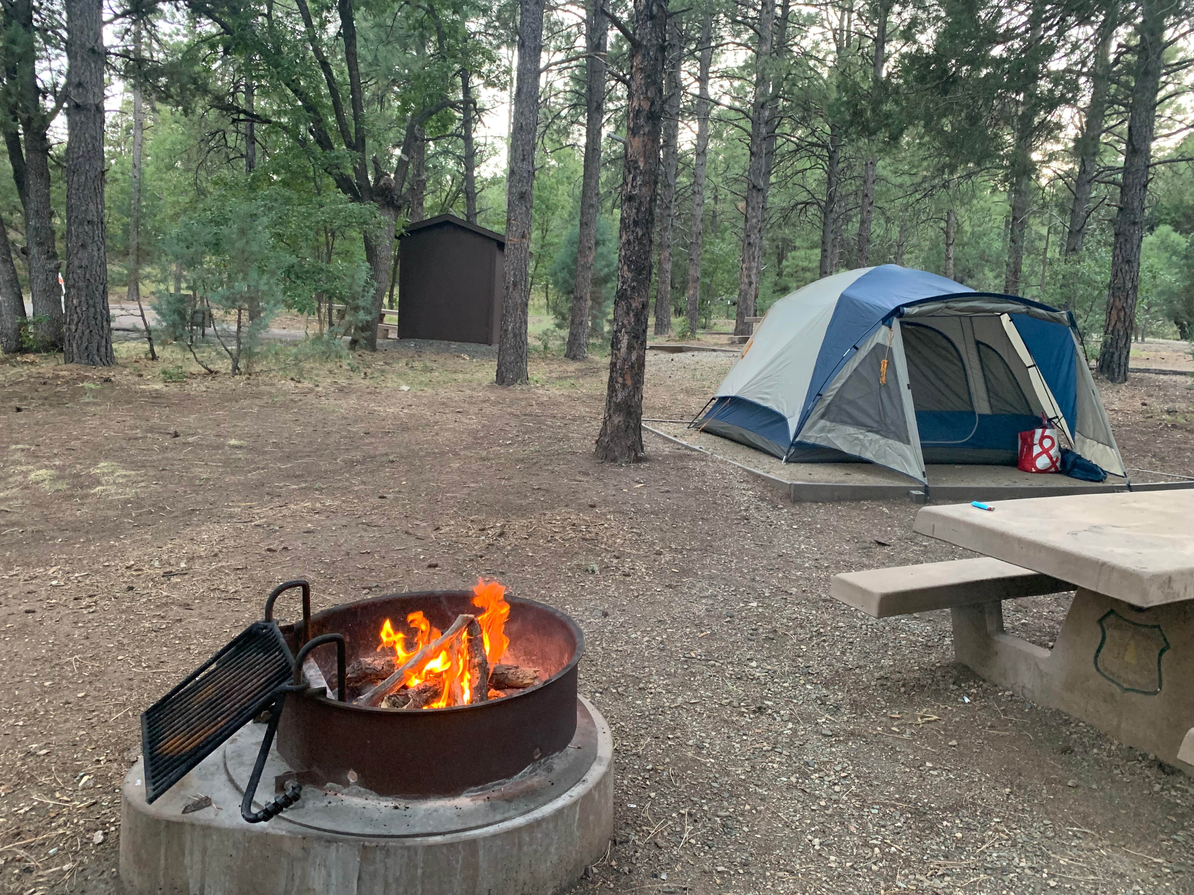 Shavit L.'s photo at Potato Patch Campground near Prescott Valley, AZ