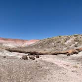 Review photo of Petrified Forest National Wilderness Area — Petrified Forest National Park by Shavit L., September 21, 2019