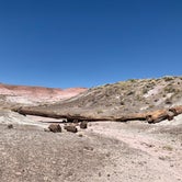 Review photo of Petrified Forest National Wilderness Area — Petrified Forest National Park by Shavit L., September 21, 2019