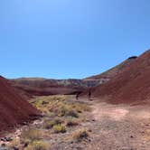 Review photo of Petrified Forest National Wilderness Area — Petrified Forest National Park by Shavit L., September 21, 2019