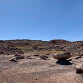 Review photo of Petrified Forest National Wilderness Area — Petrified Forest National Park by Shavit L., September 21, 2019