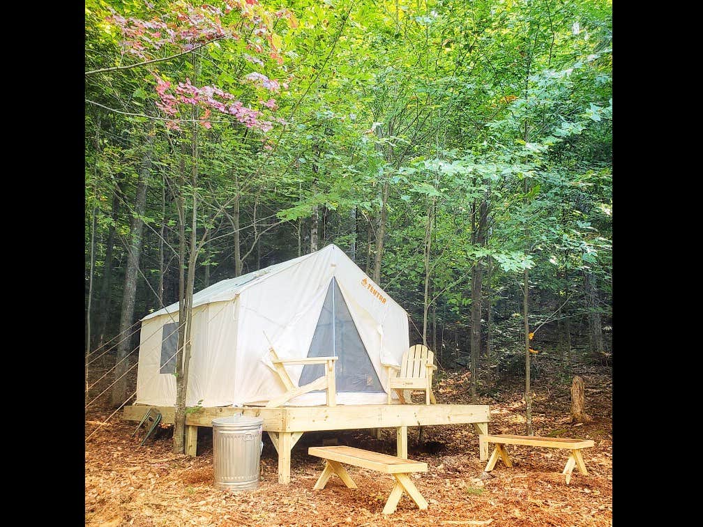 The Dyrt's photo at Living Water Campsites: Mossy Acres 2 near Plainfield, MA