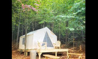 The Dyrt's photo at Living Water Campsites: Mossy Acres 2 near Washington, MA