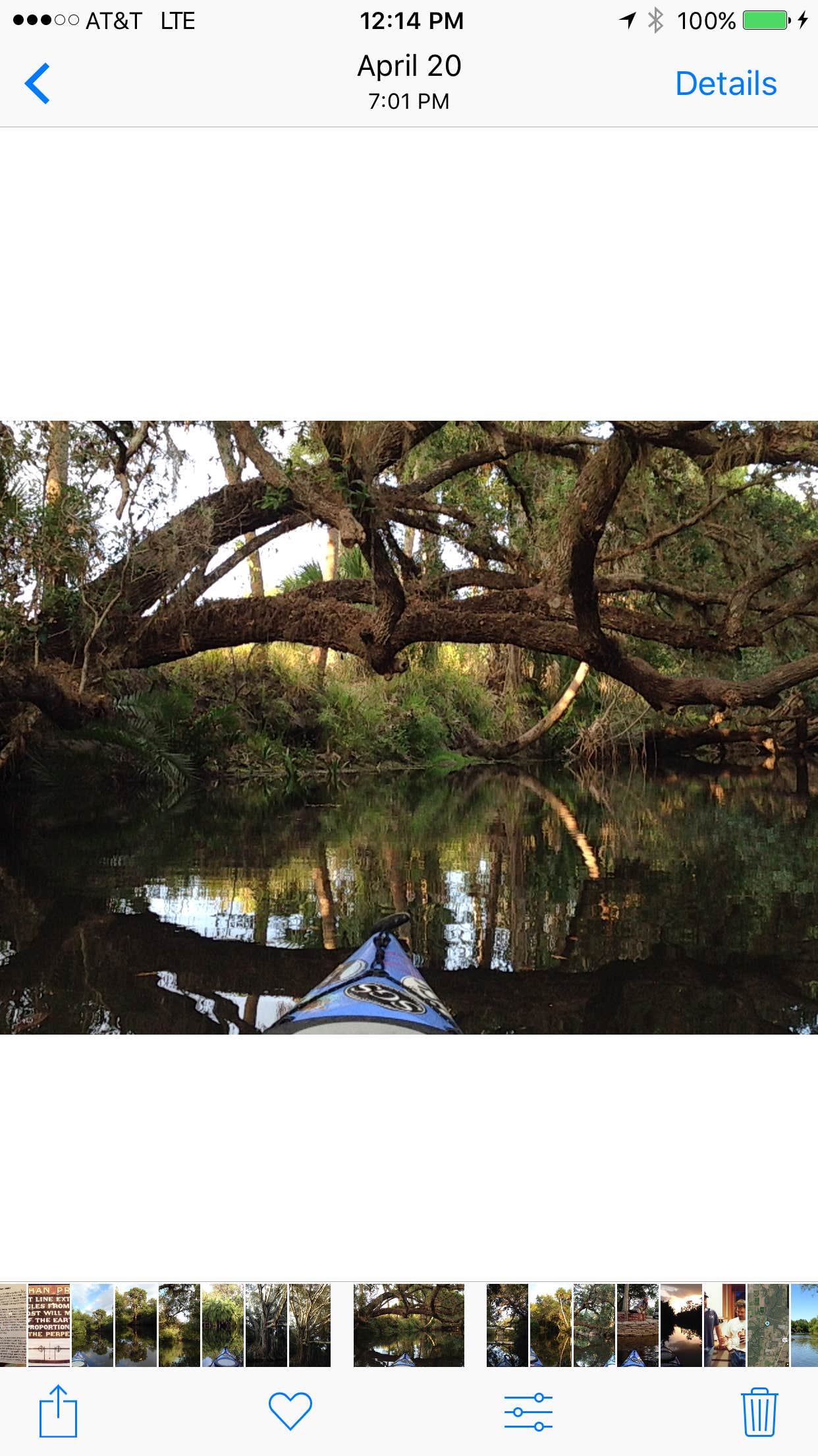 Camper submitted image from Koreshan State Park Campground - 4
