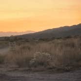 Review photo of Joshua Tree South - BLM Dispersed by Matt M., September 21, 2019