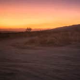 Review photo of Joshua Tree South - BLM Dispersed by Matt M., September 21, 2019