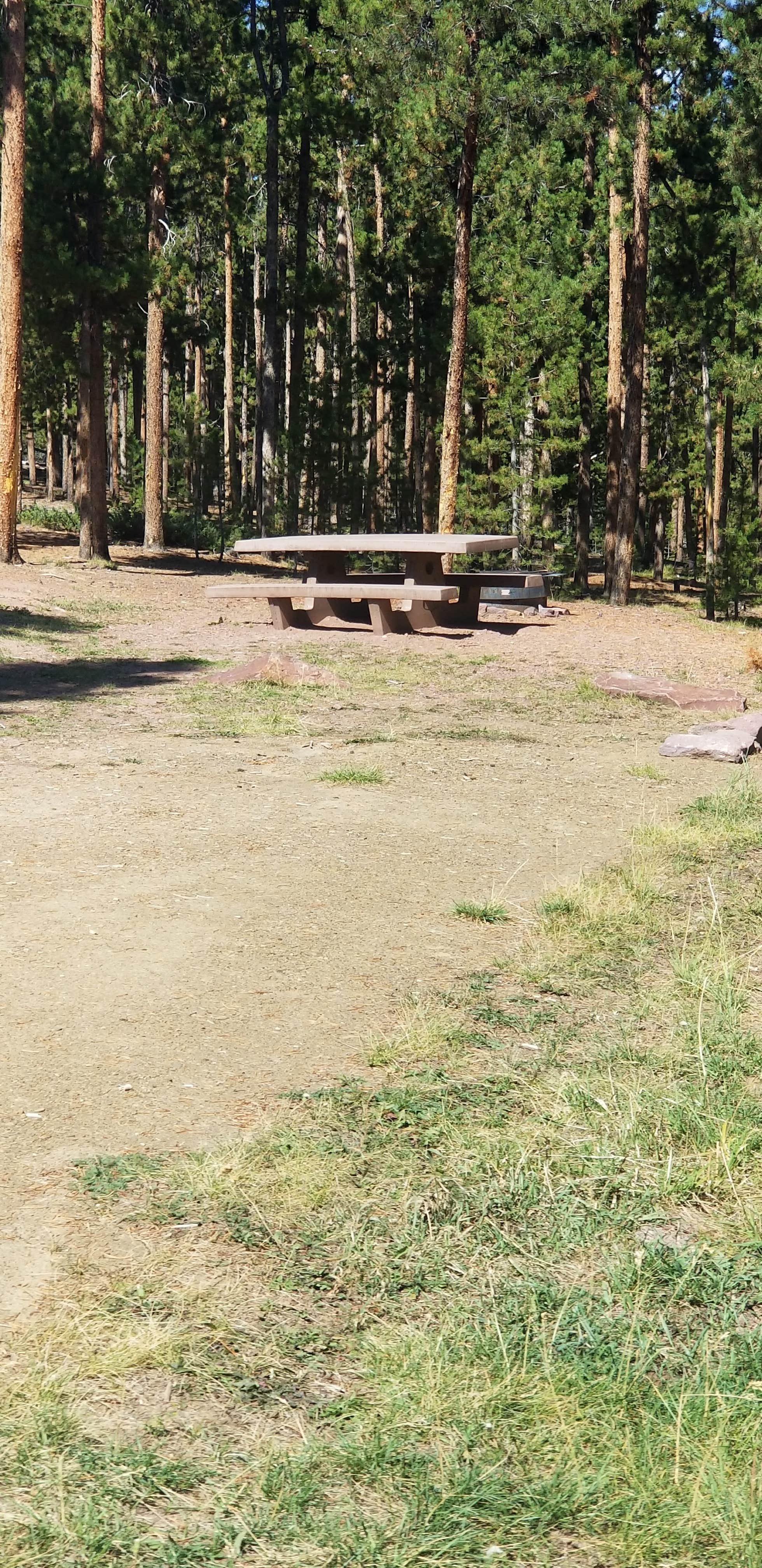 Camper submitted image from Browne Lake Group Sites - 4