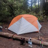 Review photo of Golden Lakes Backcountry Campsites by Katie K., September 21, 2019