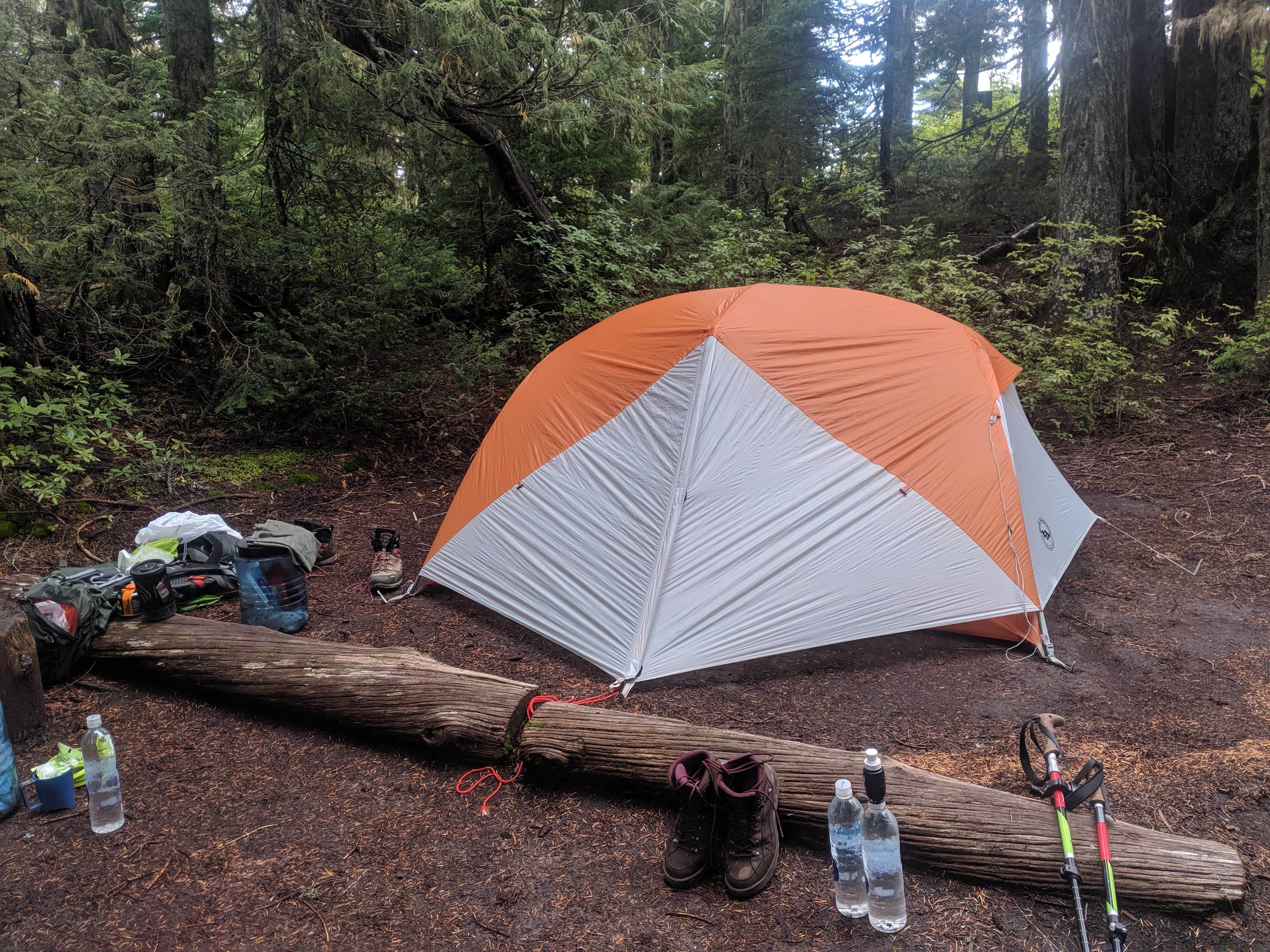 Camper submitted image from Golden Lakes Backcountry Campsites - 3