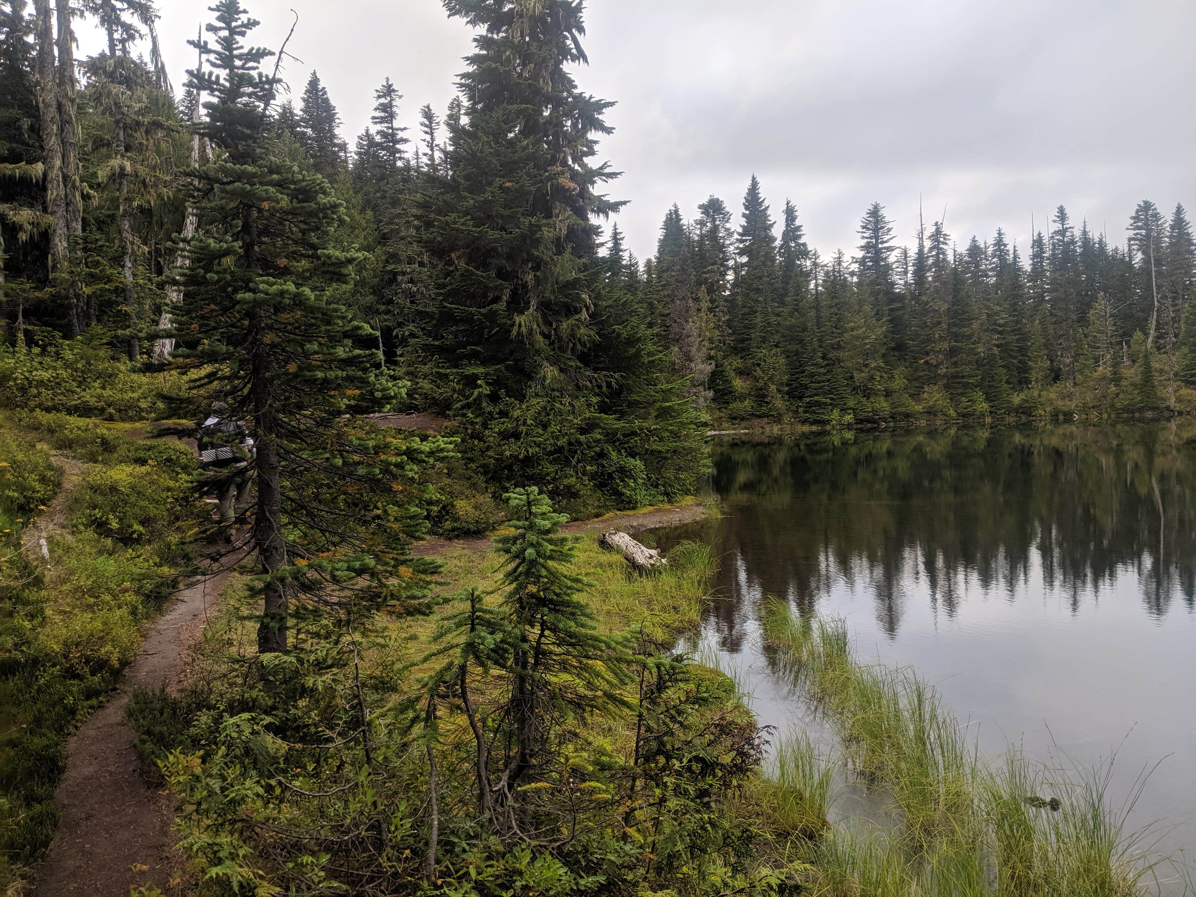 Camper submitted image from Golden Lakes Backcountry Campsites - 4