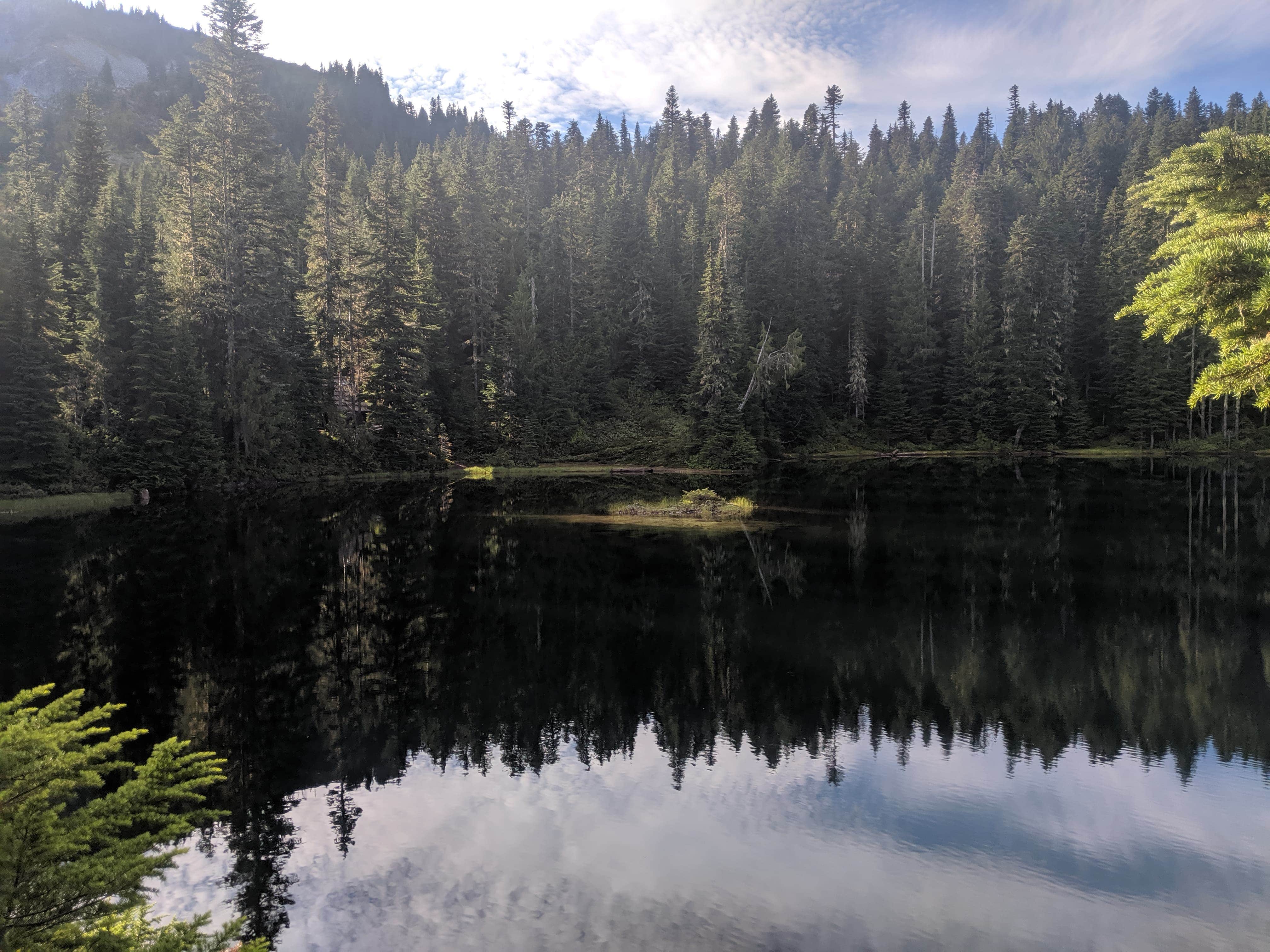 Nature